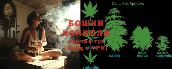 прущие крисы Надым