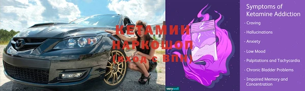 прущие крисы Надым