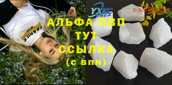 прущие крисы Надым