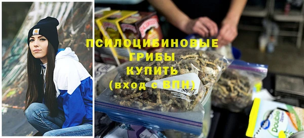 прущие крисы Надым