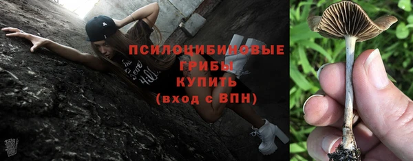 прущие крисы Надым